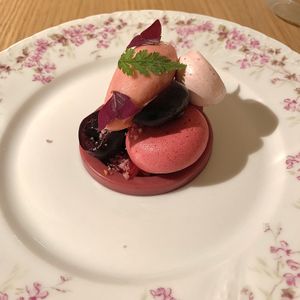   at Amaranth in Merelbeke