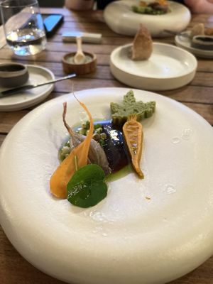   at Amaranth in Merelbeke