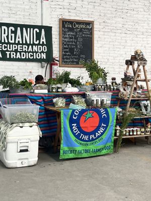  at Mercardo Sano in San Miguel De Allende