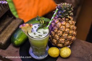 Jugo de Verano (piña, pepino, limón y hierba buena) at El Shamuskia'o in Havana