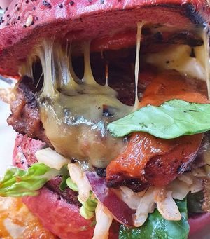  at Doghouse  in Glasgow