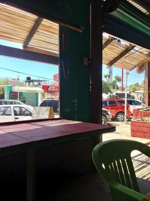 Inside of Moots at Moots in Puerto Escondido