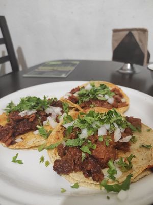 Chicharrón tacos at VEGuerrero in Mexico City