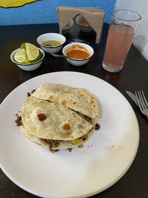  gringa veguerrera at VEGuerrero in Mexico City