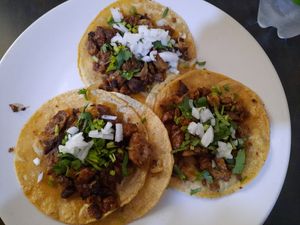 Seitan tacos at VEGuerrero in Mexico City