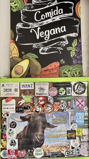 Tons of vegan activism stickers on display!  at VEGuerrero in Mexico City