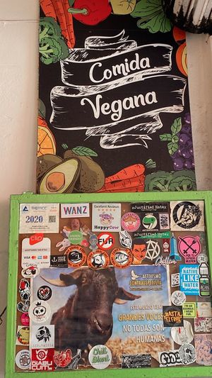   at VEGuerrero in Mexico City