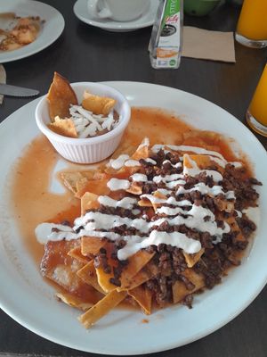 Chilaquiles con suadero y crema de girasol. at VEGuerrero in Mexico City
