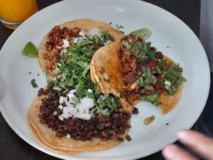 Surtido de tacos. Chicharrón es mi favorito. at VEGuerrero in Mexico City