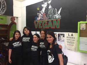 Anonymous for the voiceless squad  at VEGuerrero in Mexico City