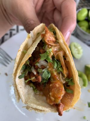 Taco.  at VEGuerrero in Mexico City