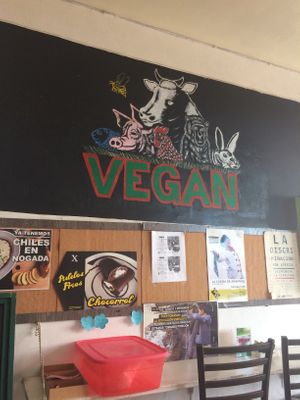 Cute Mural at VEGuerrero in Mexico City