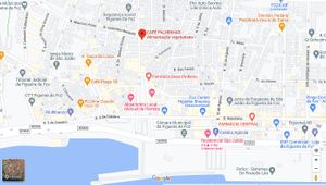  at Café Palhinhas in Figueira Da Foz