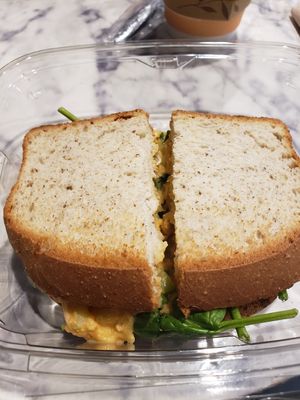  at Rutabaga in Annapolis