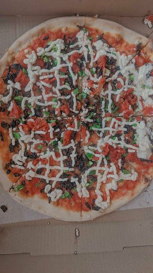 vegan pizza with actual burnt mushrooms and the cheese looked like poop ngl 1/10 at The Tomato Shack Salad & Pizza co in West Chester