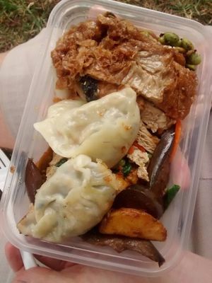 They even have dumplings! at Zi Jia House in Auckland