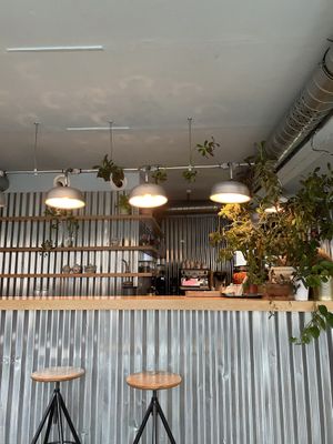 Inside at Mox in Moscow