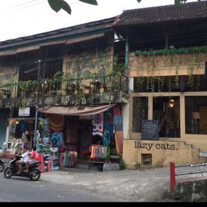 Lazy Cats at Lazy Cats  in Ubud