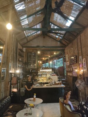  at Lazy Cats  in Ubud