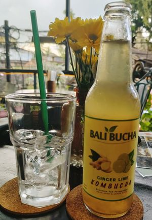  at Lazy Cats  in Ubud