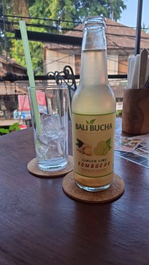 Kombucha at Lazy Cats  in Ubud