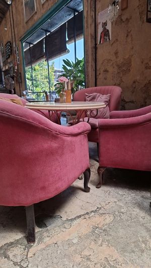  at Lazy Cats  in Ubud