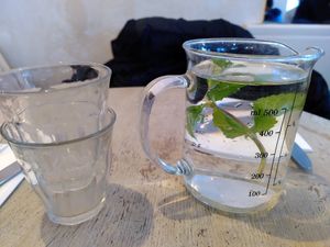 Mint water (Dec 2021) at L'Abattoir Vegetal - Guisarde in Paris