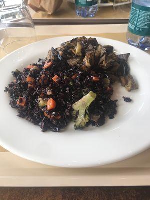 Riso venere alle verdure e melanzane al forno  at Biosapori in Lancenigo