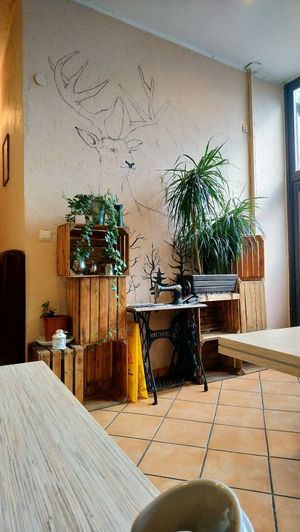 Interior at Warzywniak in Wroclaw