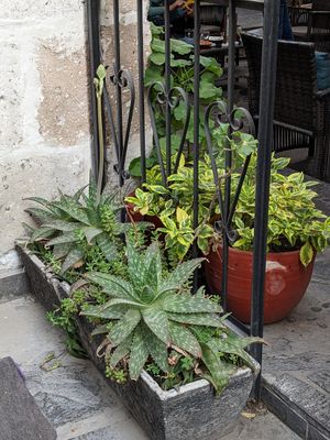  at Omphalos in Arequipa