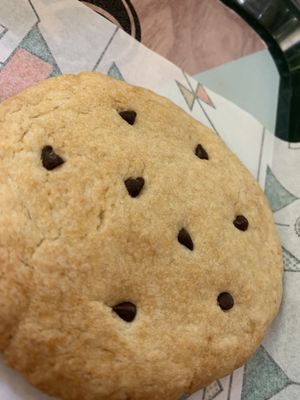 Cookie at La Trocadero in Barcelona