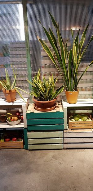 Lovely decor at La Trocadero in Barcelona