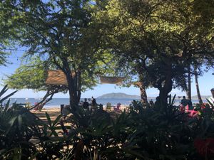 Vista desde adentro  at Noguis in Tamarindo