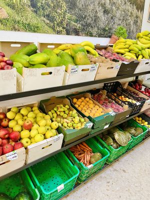Fruits! 🫶❤️🧡💛💚💜  at Bio Milanes in Malaga