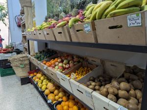  at Bio Milanes in Malaga