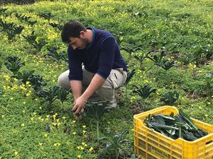 Kale  at Bio Milanes in Malaga