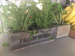 Fresh Herbs at Riverside Cafe in Leicester
