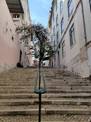 . at Organi Chiado in Lisbon