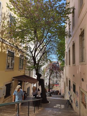  at Organi Chiado in Lisbon