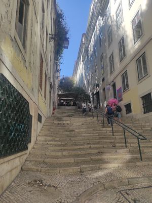  at Organi Chiado in Lisbon