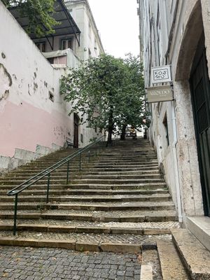   at Organi Chiado in Lisbon