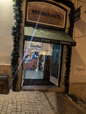 Indoor vibe at Organi Chiado in Lisbon