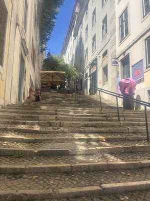   at Organi Chiado in Lisbon