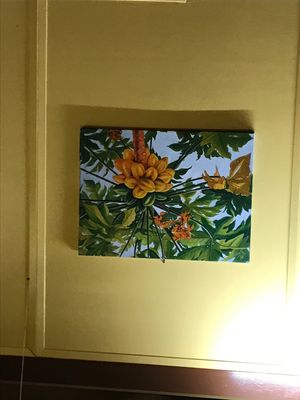 😎 at MCS Grill in Hanapepe