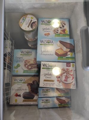 Ice creams at EasyGreen Vegan Foodstore & Snack bar in Porto