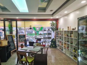 Space for lunch or dinner at EasyGreen Vegan Foodstore & Snack bar in Porto