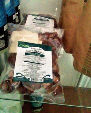 soap nuts (Sapindus saponaria) at EasyGreen Vegan Foodstore & Snack bar in Porto
