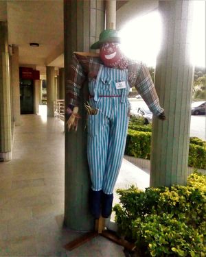 24h security at EasyGreen Vegan Foodstore & Snack bar in Porto