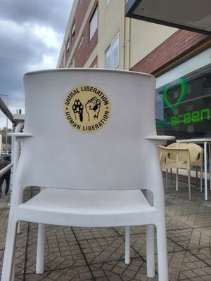  at EasyGreen Vegan Foodstore & Snack bar in Porto