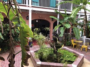 The beautiful courtyard  at The Courtyard Juice and Fitness Center in St Croix